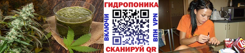 Купить где Донской Печенье с ТГК марихуана