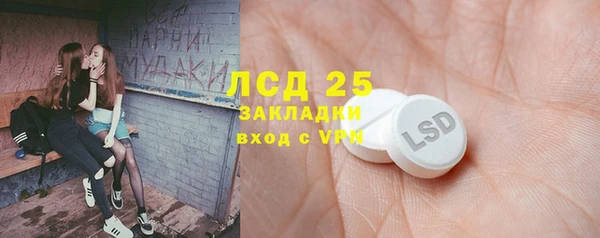 соль ск Инсар