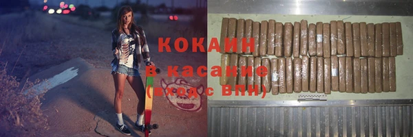 соль ск Инсар