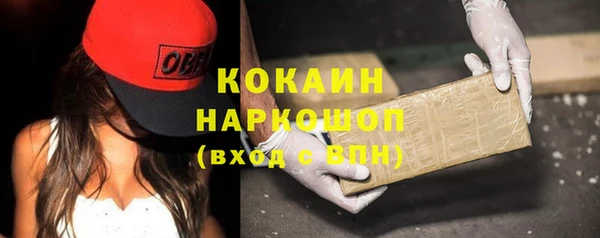 соль ск Инсар
