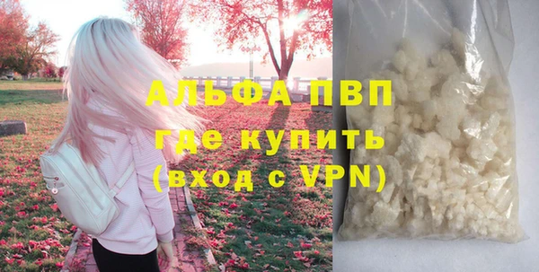 соль ск Инсар