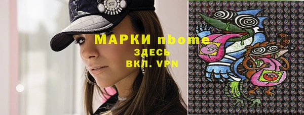 соль ск Инсар