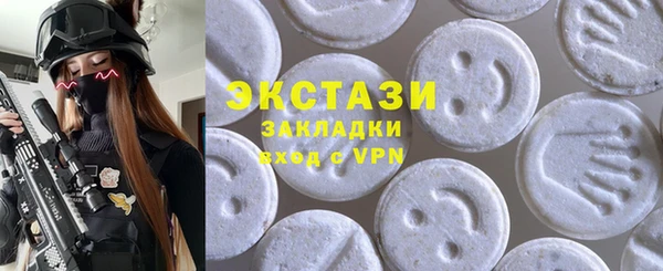 соль ск Инсар