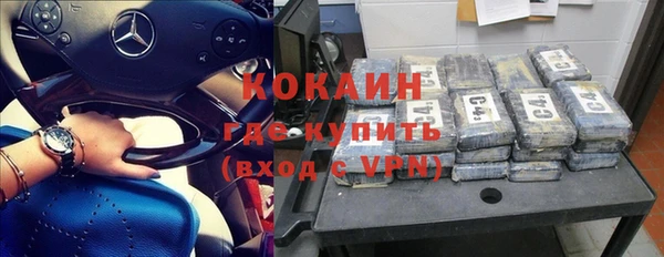 соль ск Инсар