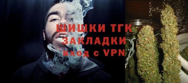 соль ск Инсар